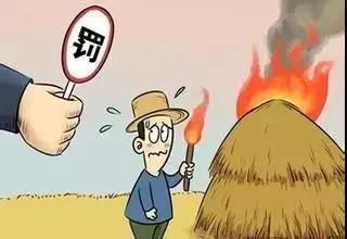 【公安要闻】动真格！吕梁多人因违法焚烧秸秆被罚！