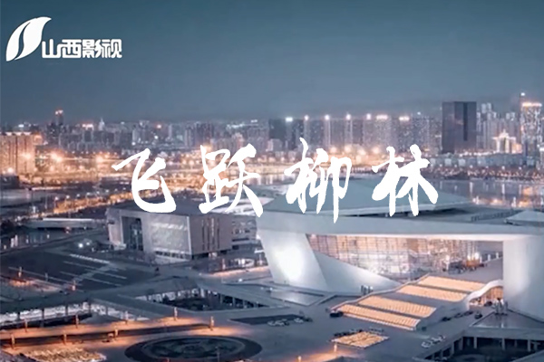 《今日山西》栏目之飞跃柳林