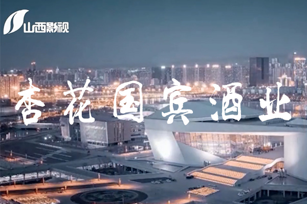 《今日山西》栏目之杏花国宾酒业