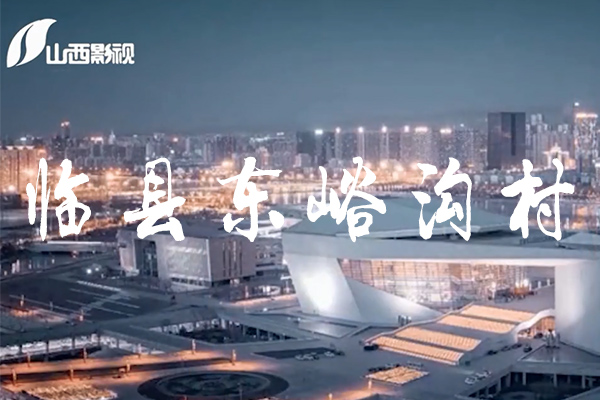 《今日山西》栏目之临县东峪沟村